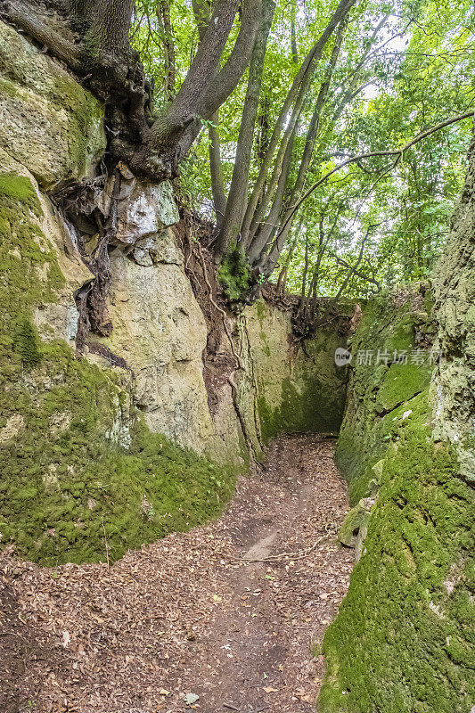 皮蒂利亚诺托斯卡纳的Vie Cave